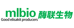上海永乐高ylg8888科技有限公司